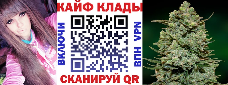  COCAIN Дубна
