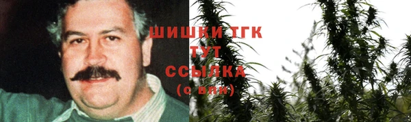 дживик Инсар