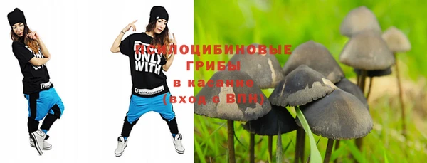 хмурый Каменка