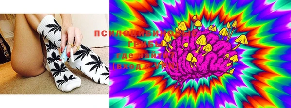 ПСИЛОЦИБИНОВЫЕ ГРИБЫ Данков