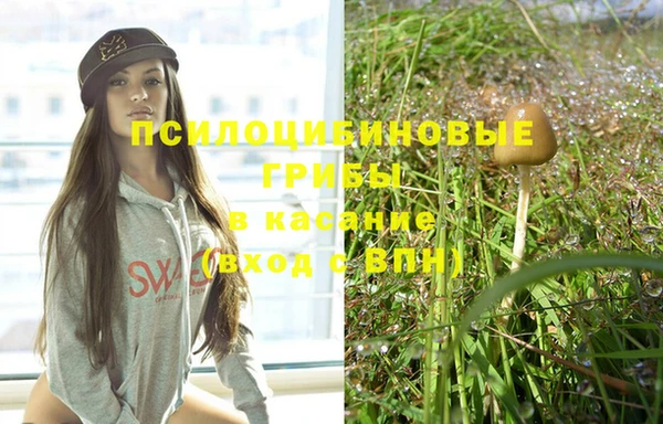 дживик Инсар